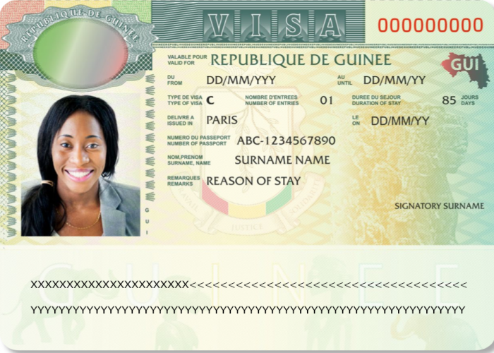 Visa Sticker